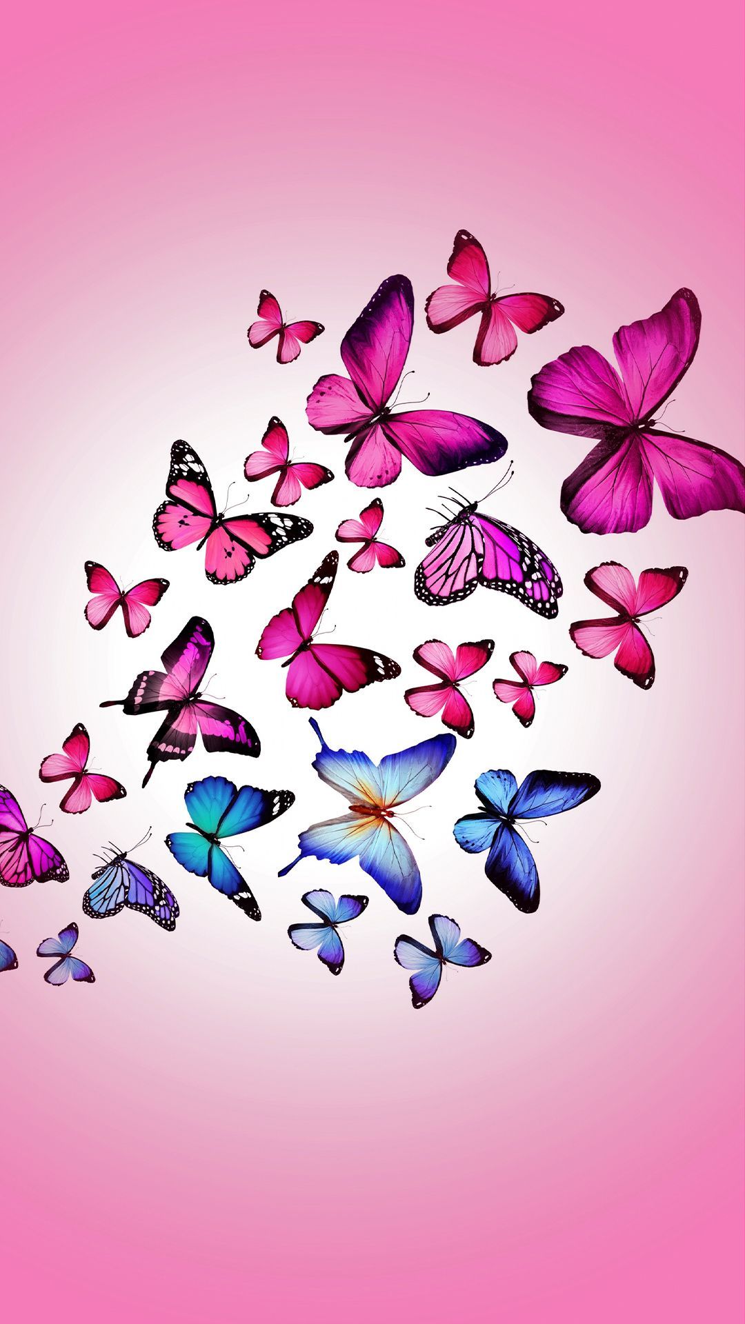 Pink Butterfly Phone Wallpapers