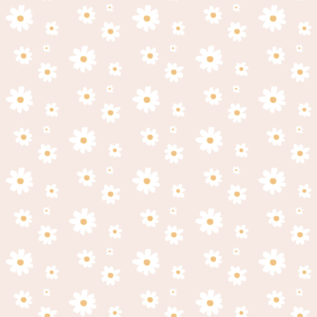 Pink Daisy Wallpapers