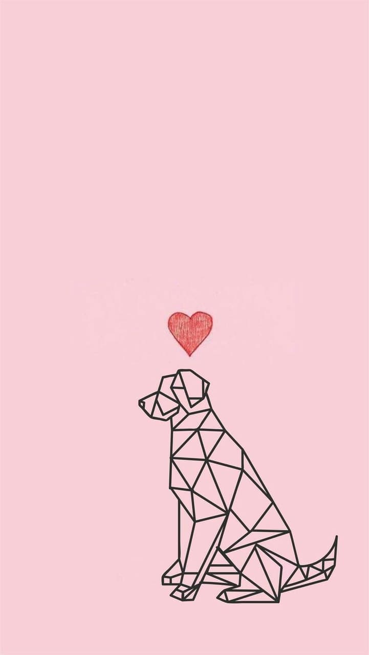 Pink Dog Wallpapers