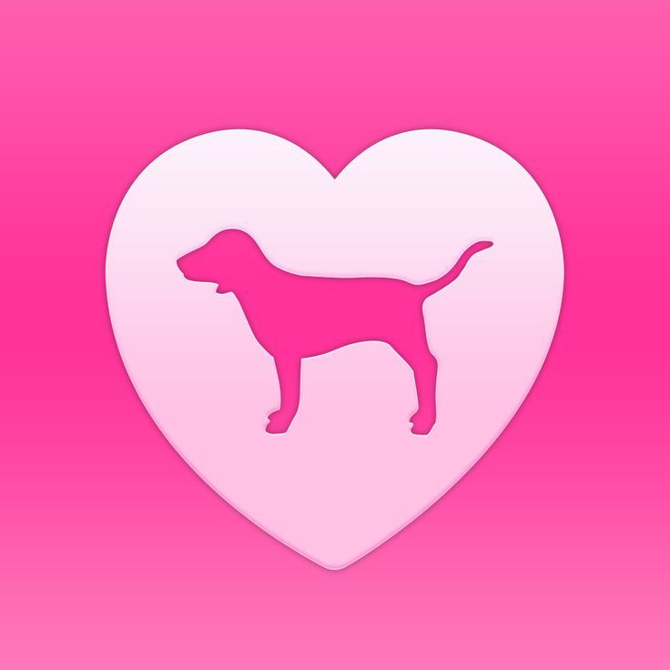 Pink Dog Wallpapers