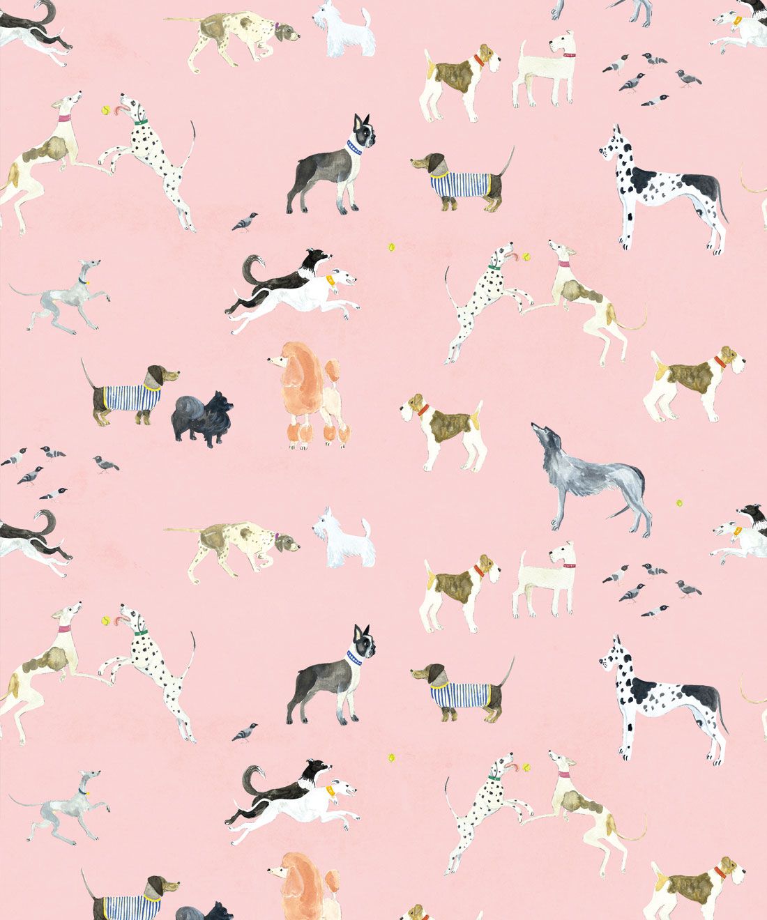 Pink Dog Wallpapers