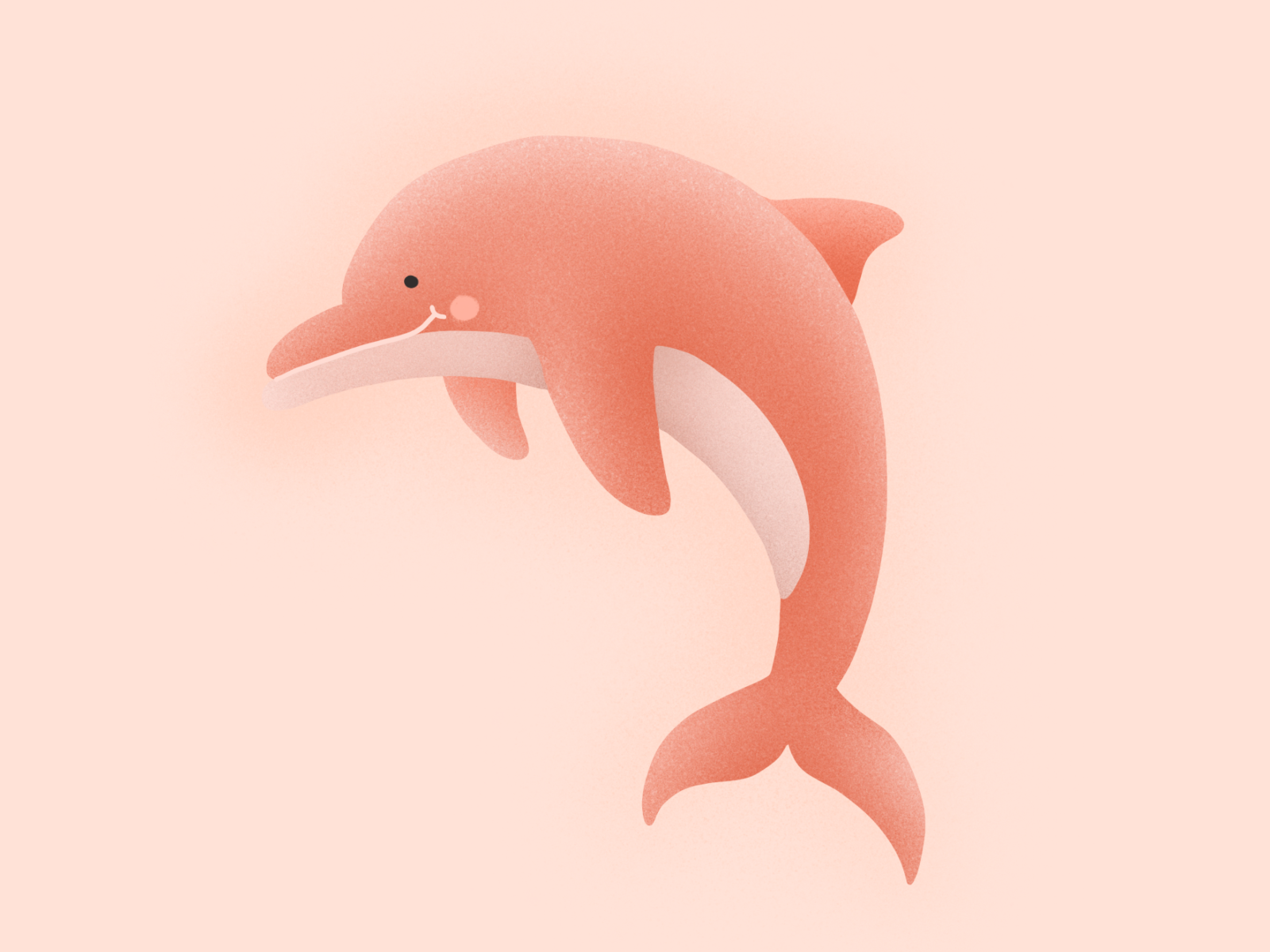 Pink Dolphins Wallpapers