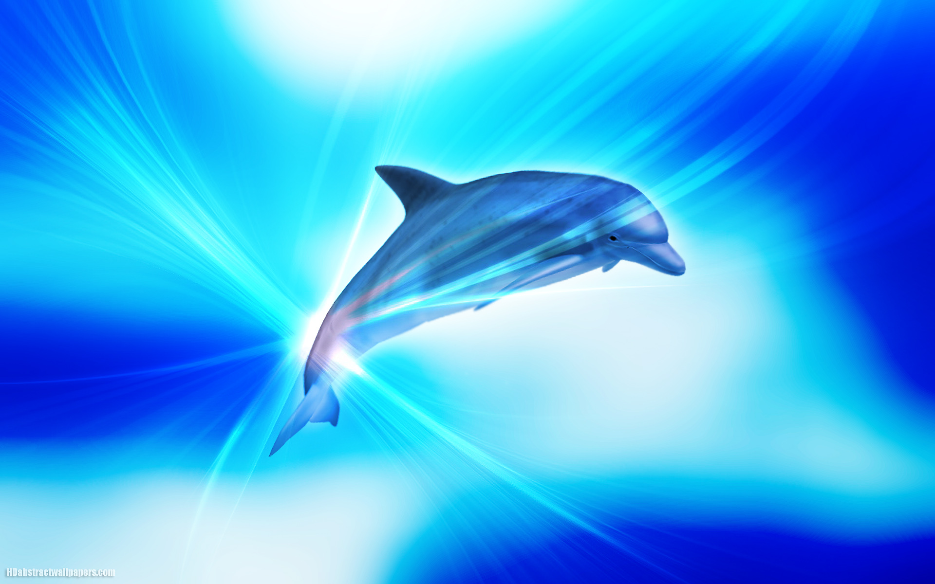 Pink Dolphins Wallpapers