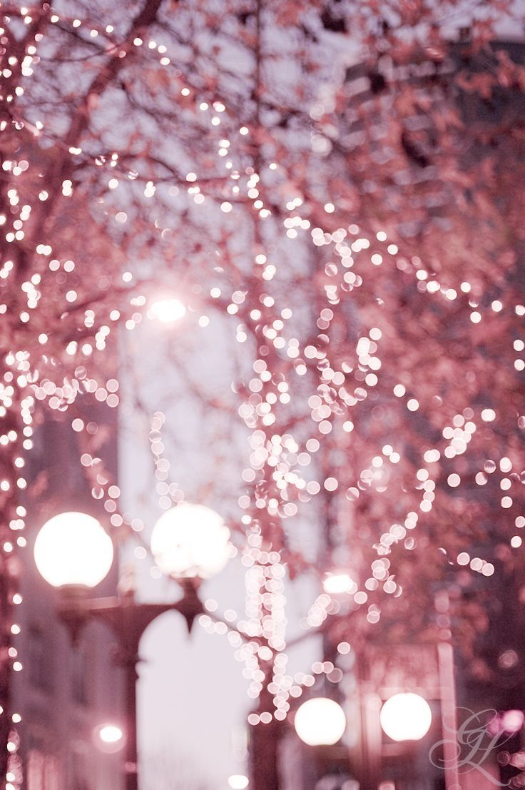 Pink Fairy Lights Wallpapers