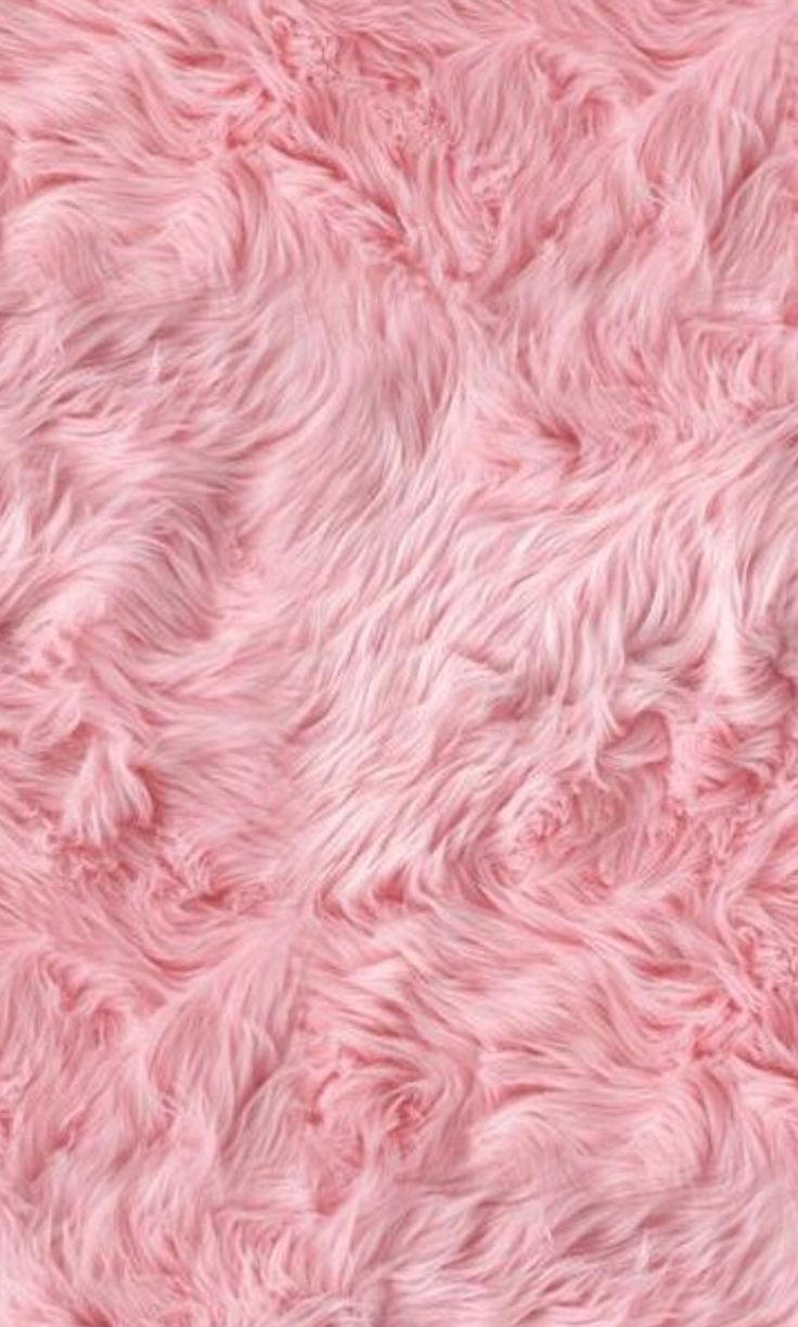 Pink Feathers Wallpapers