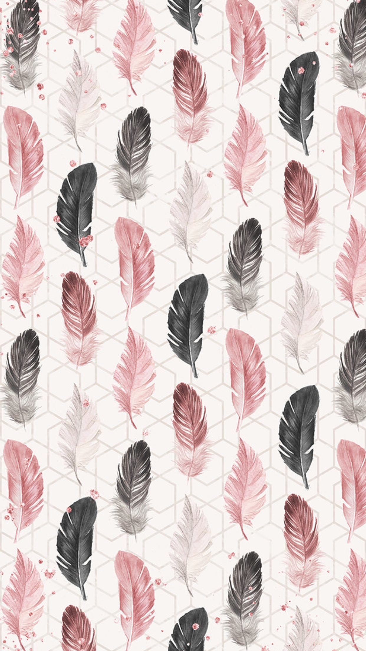 Pink Feathers Wallpapers