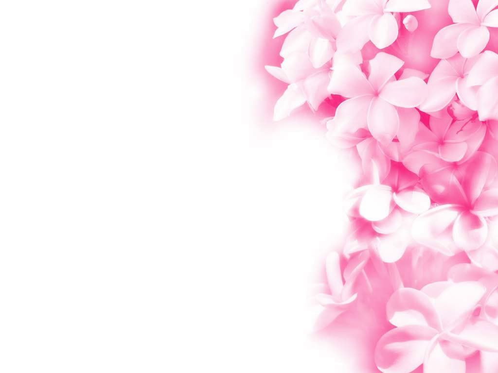 Pink Flower Cartoon Wallpapers