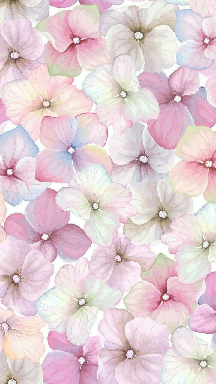 Pink Flower Cartoon Wallpapers