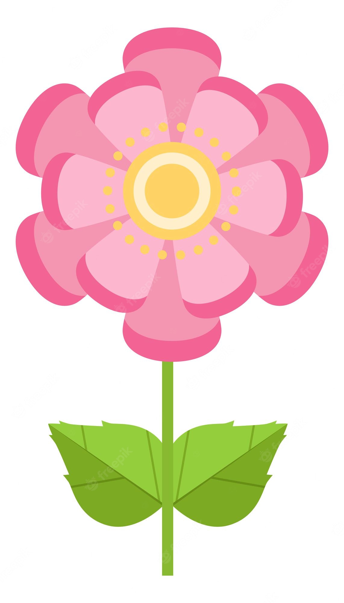 Pink Flower Cartoon Wallpapers