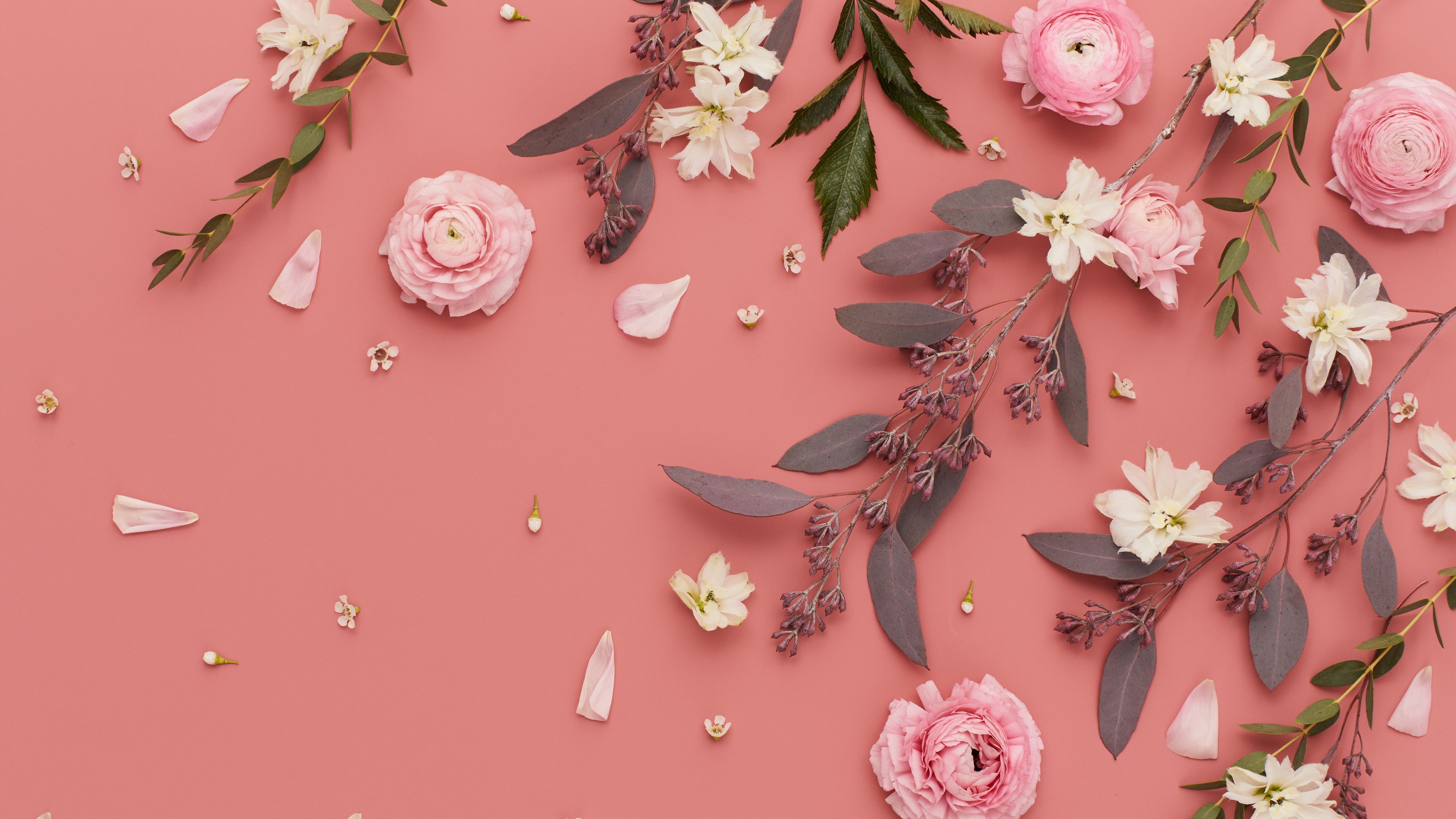 Pink Flower Desktop Wallpapers