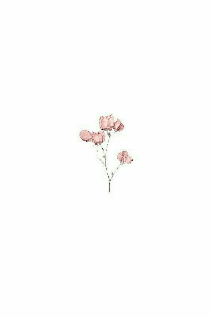 Pink Flowers Aesthetic Laptop Wallpapers