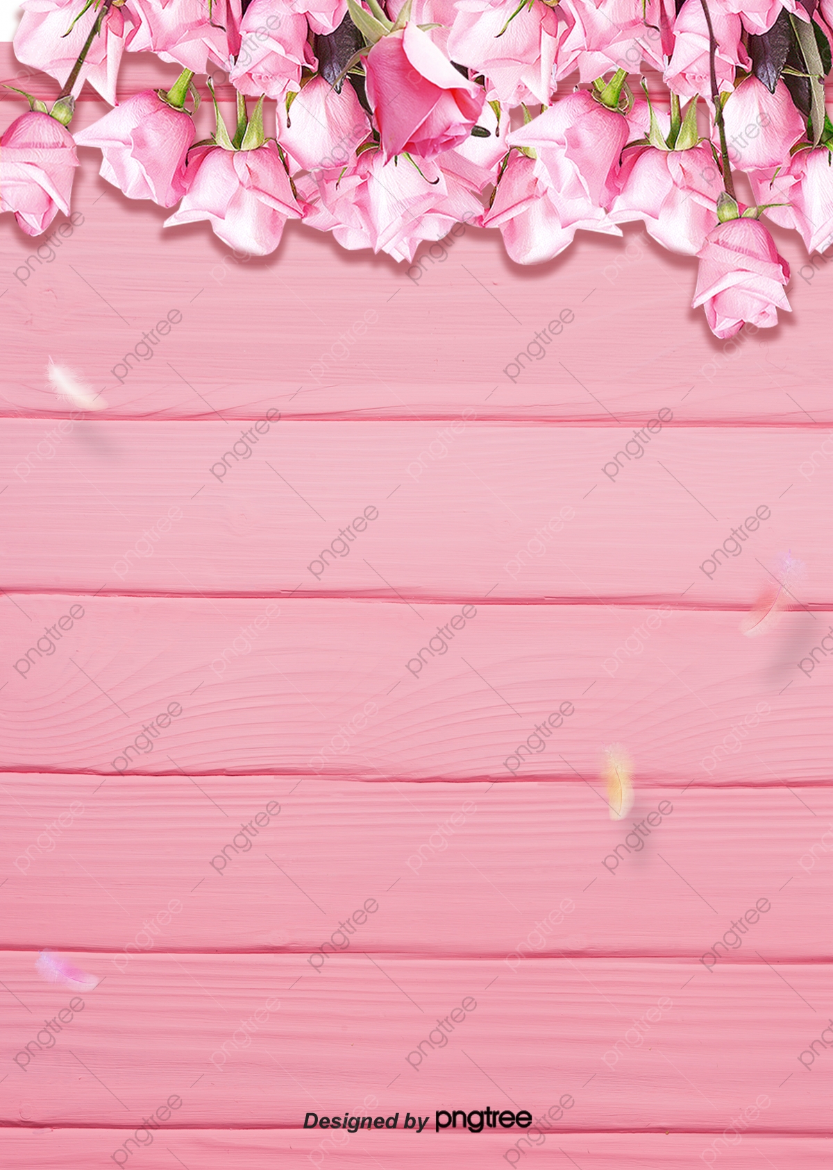 Pink Flowers Hd Wallpapers