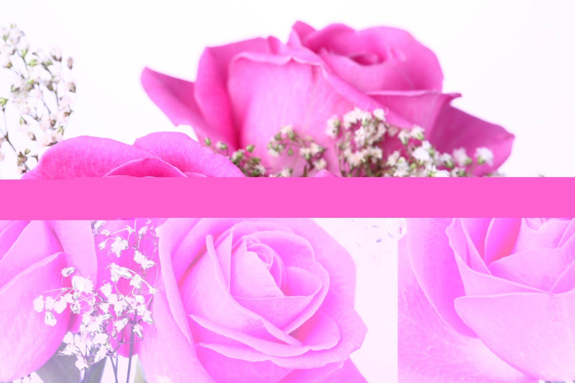 Pink Flowers Hd Wallpapers
