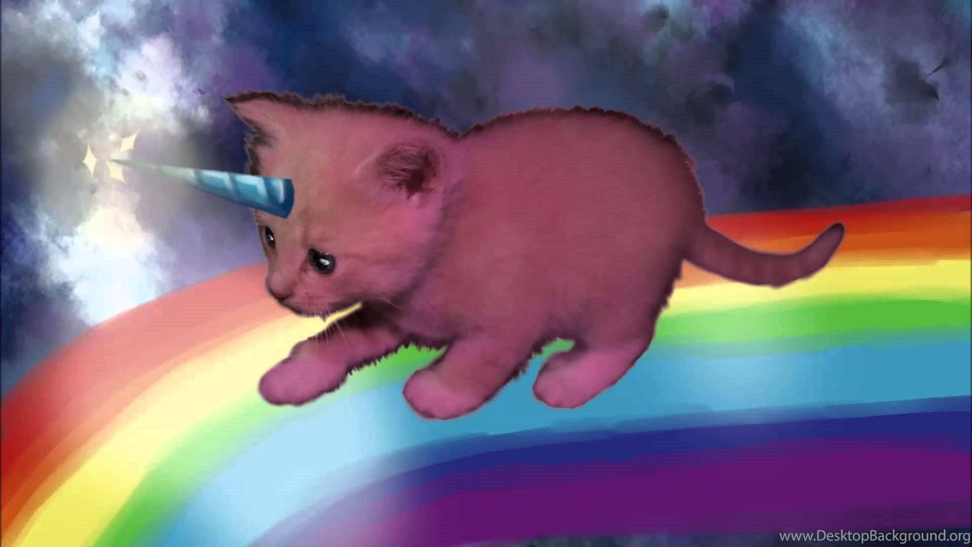 Pink Fluffy Unicorns Dancing On Rainbows Wallpapers