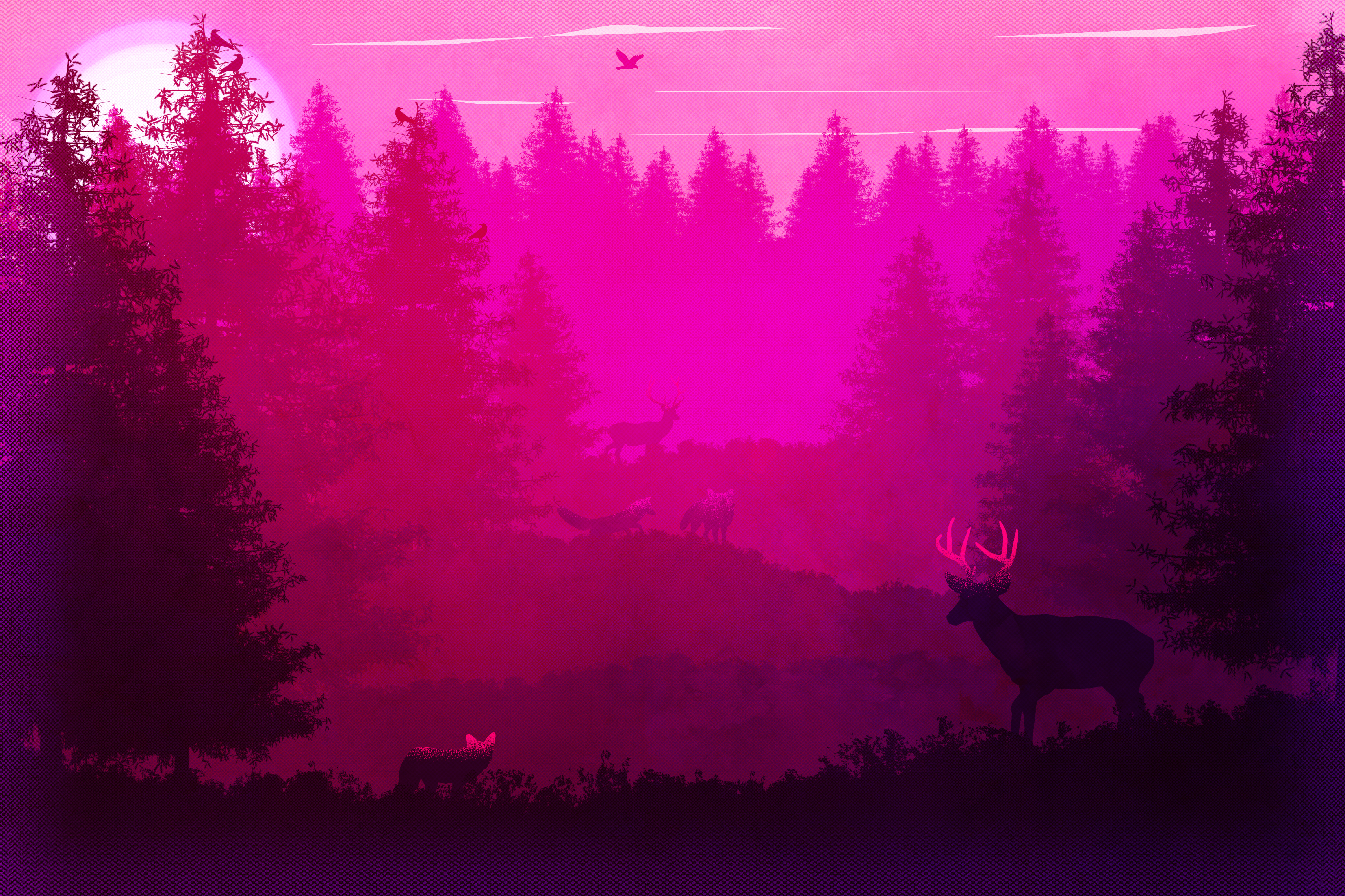 Pink Forest Wallpapers