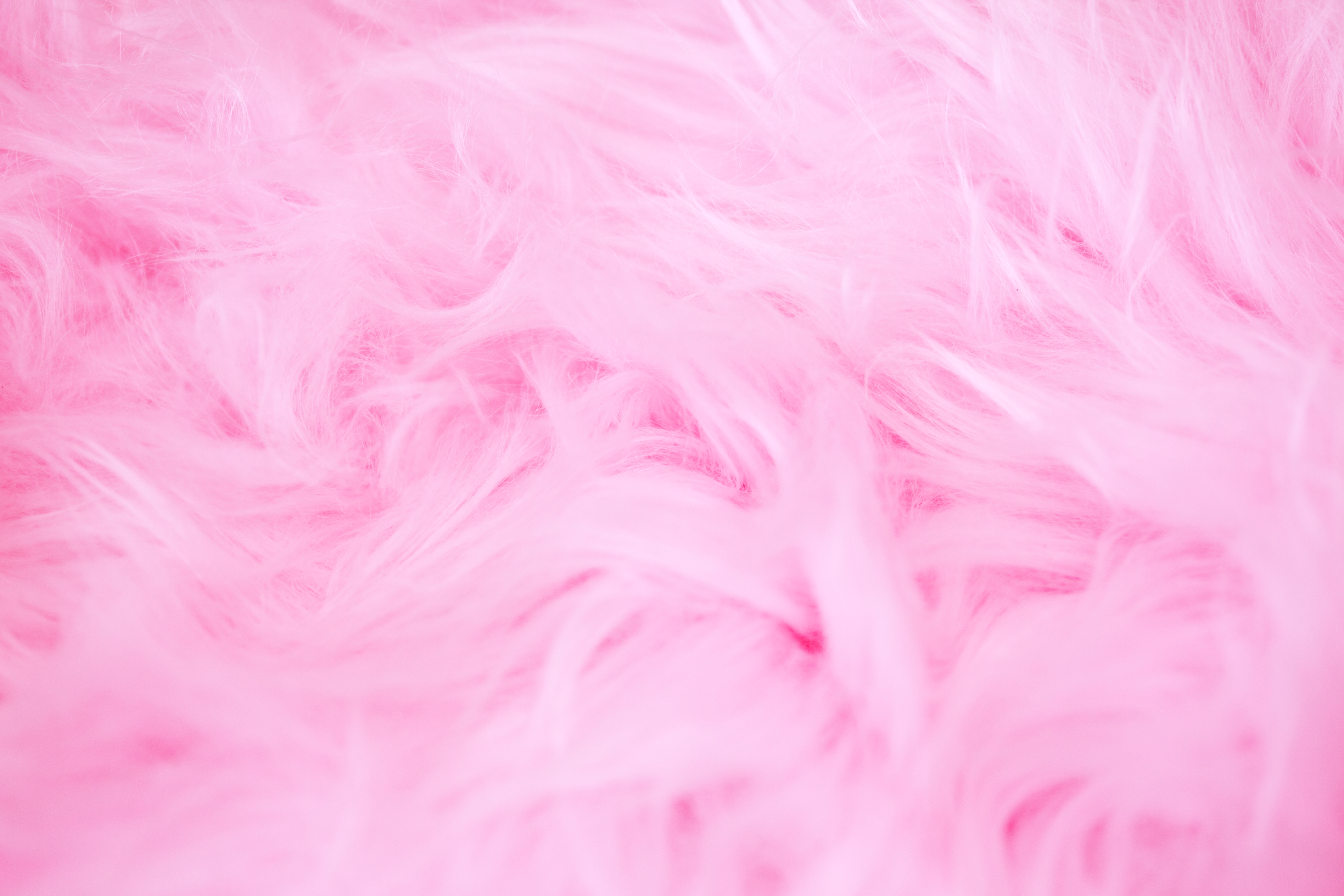 Pink Girly Wallpapers
