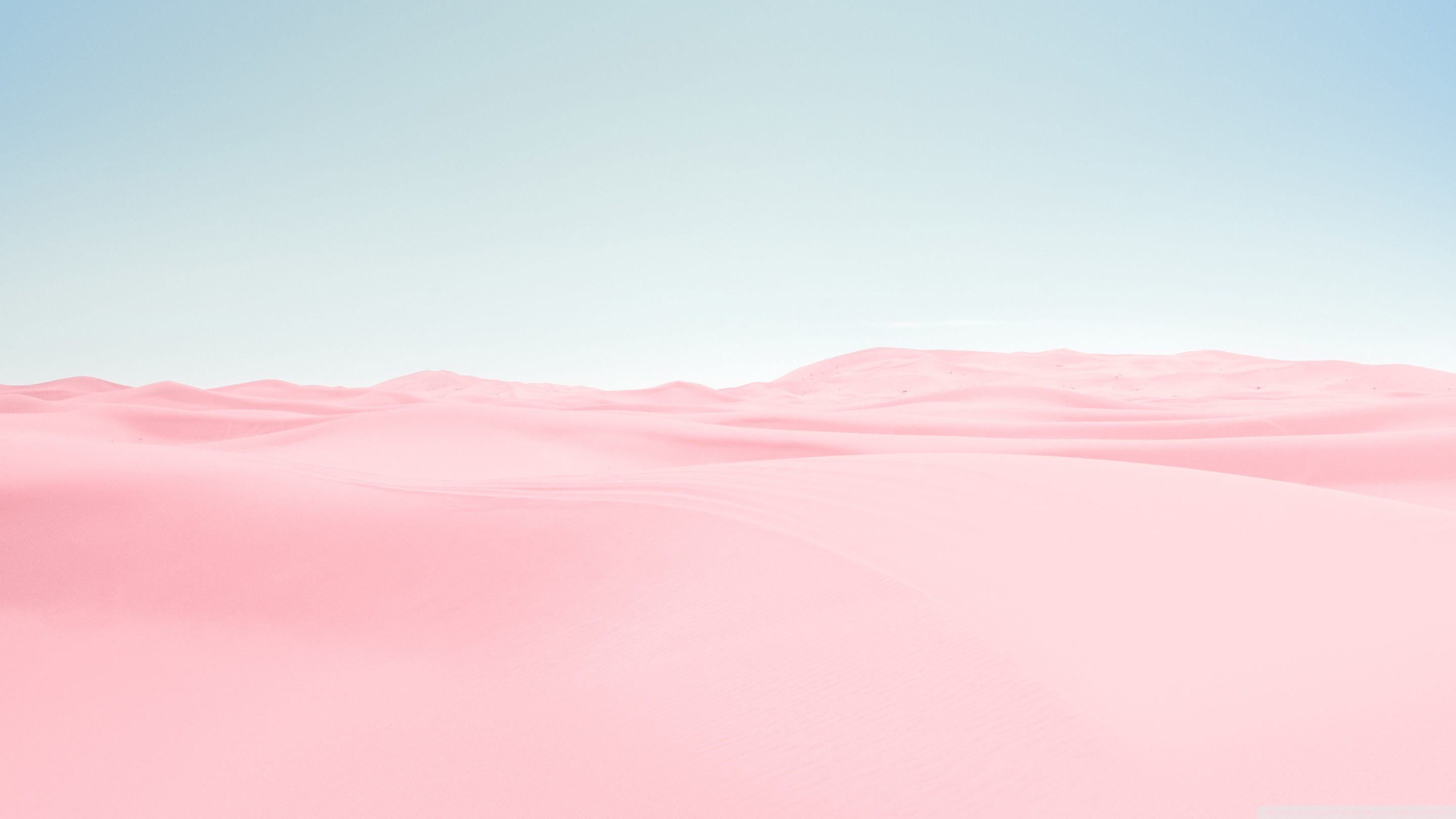 Pink Hd Desktop Wallpapers