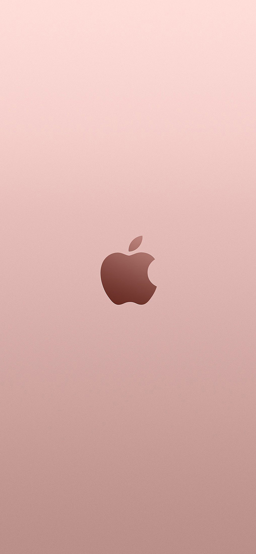 Pink Iphone Xr Wallpapers