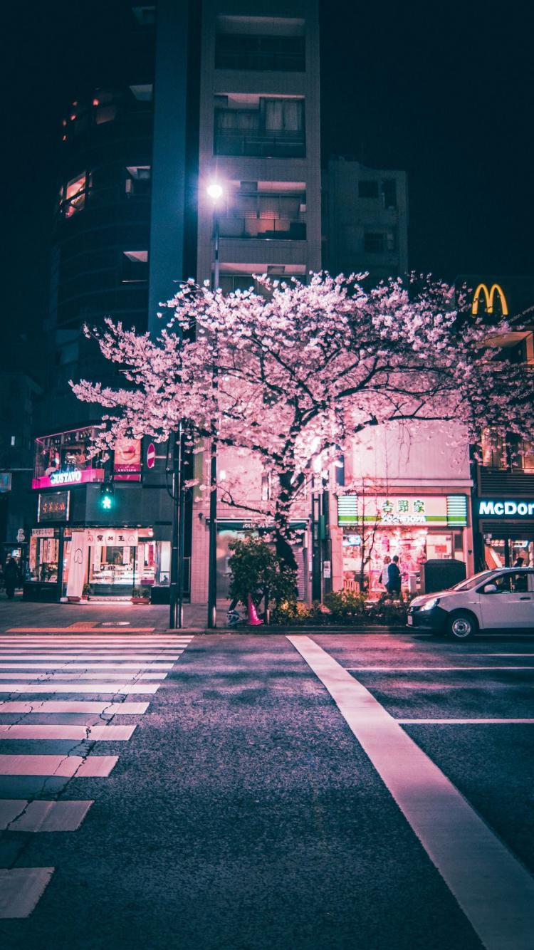 Pink Japanese Aesthetic Wallpapers