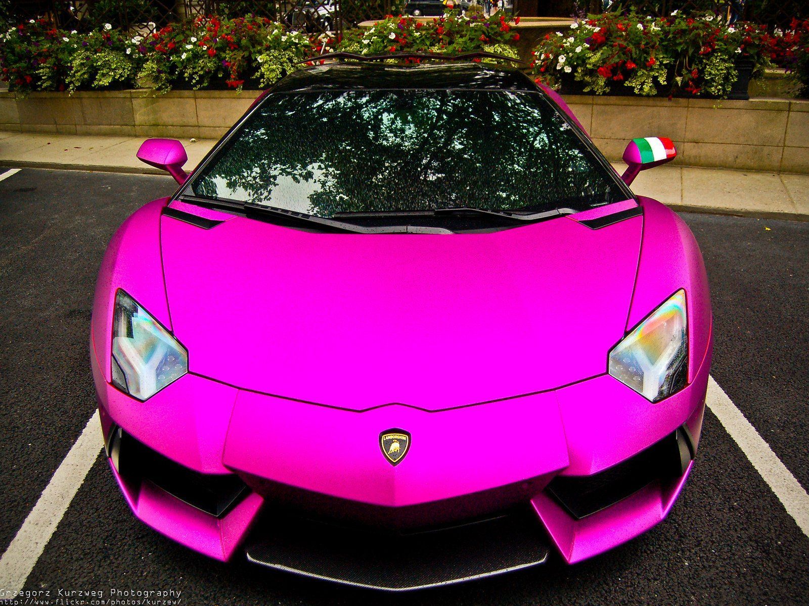 Pink Lamborghini Wallpapers