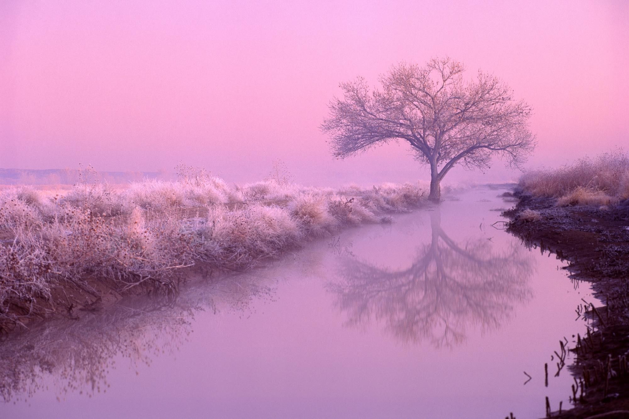 Pink Landscape Wallpapers