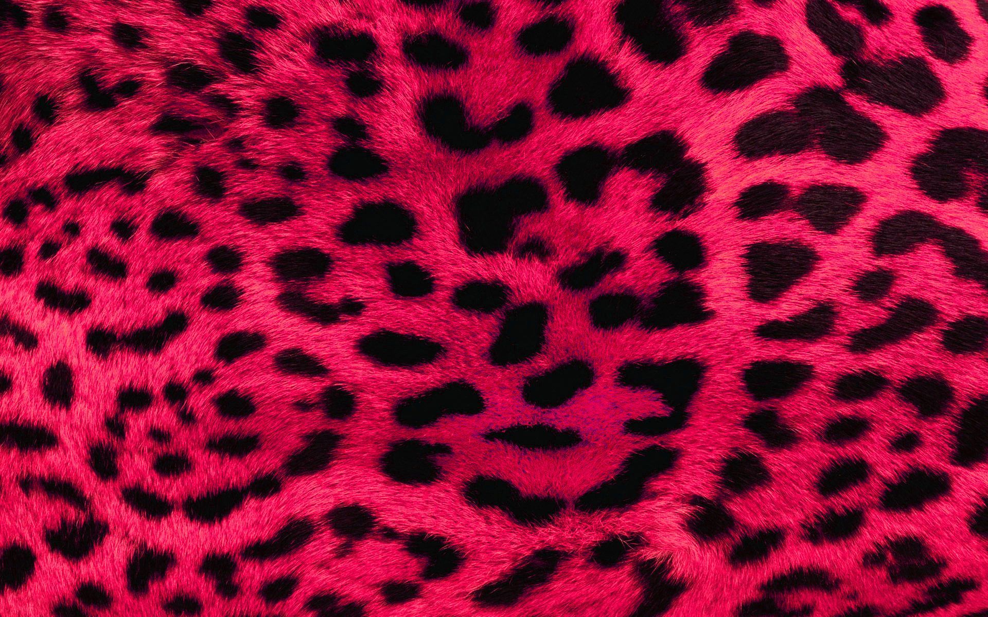 Pink Leopard Print Wallpapers