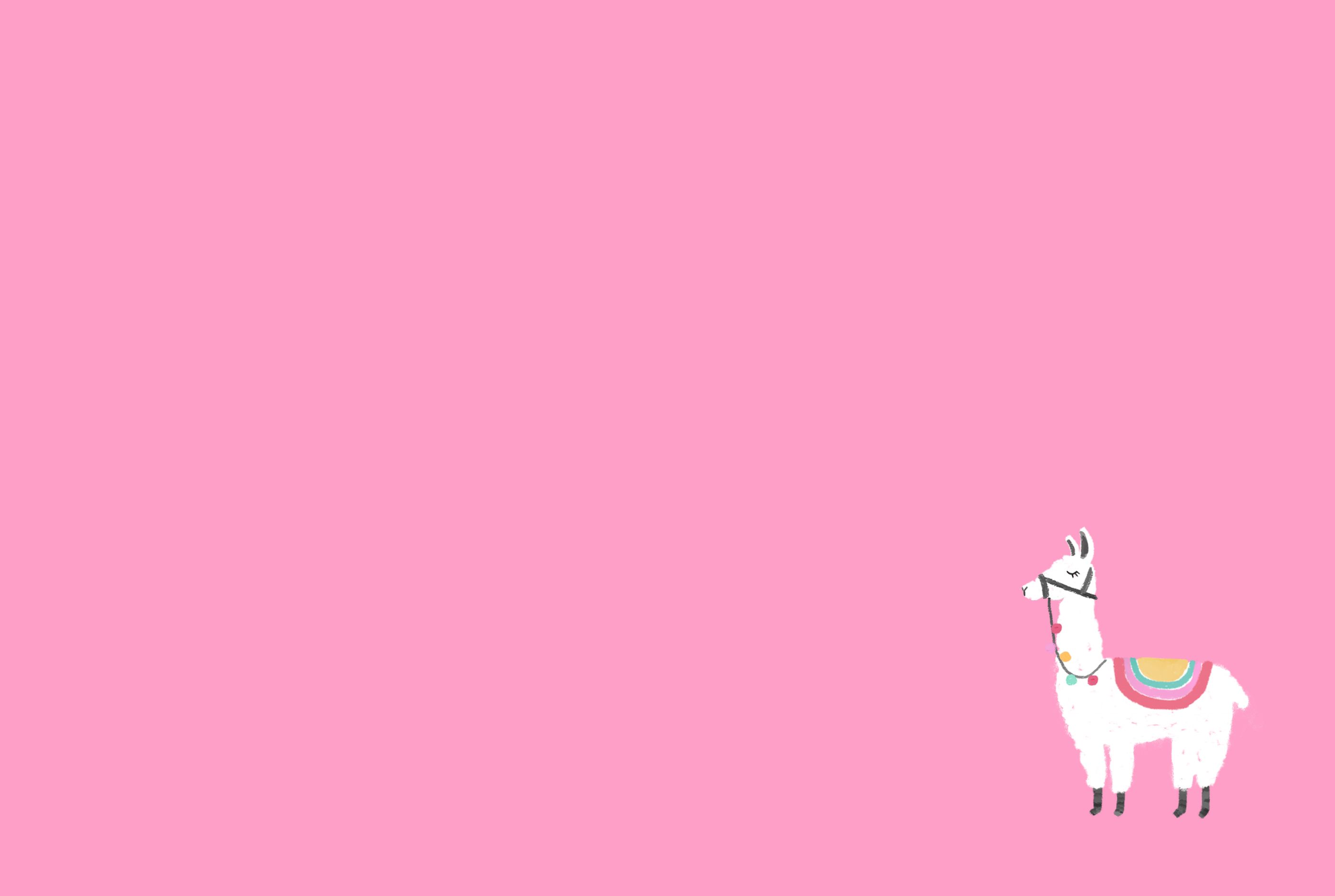 Pink Llama Wallpapers