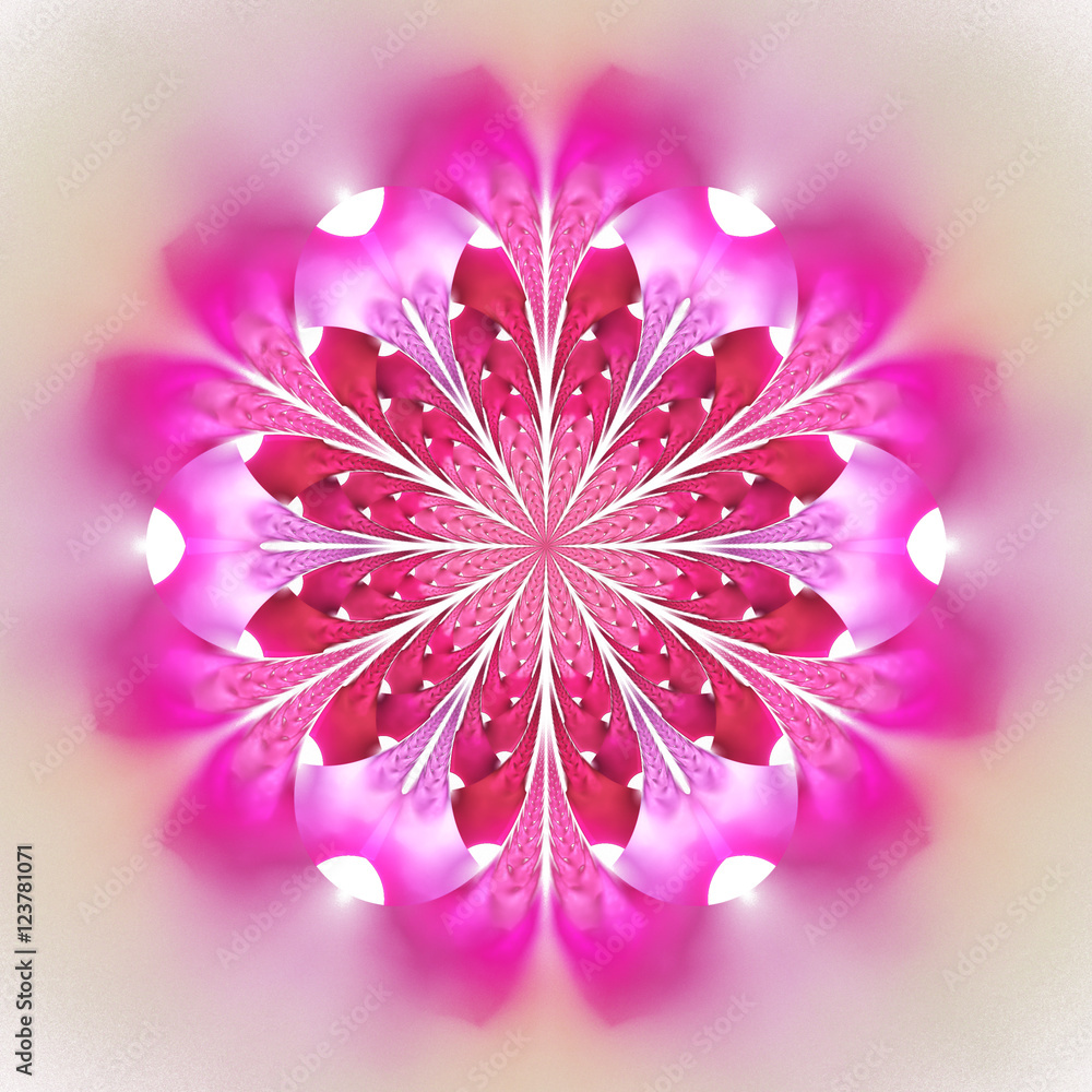 Pink Mandala Wallpapers