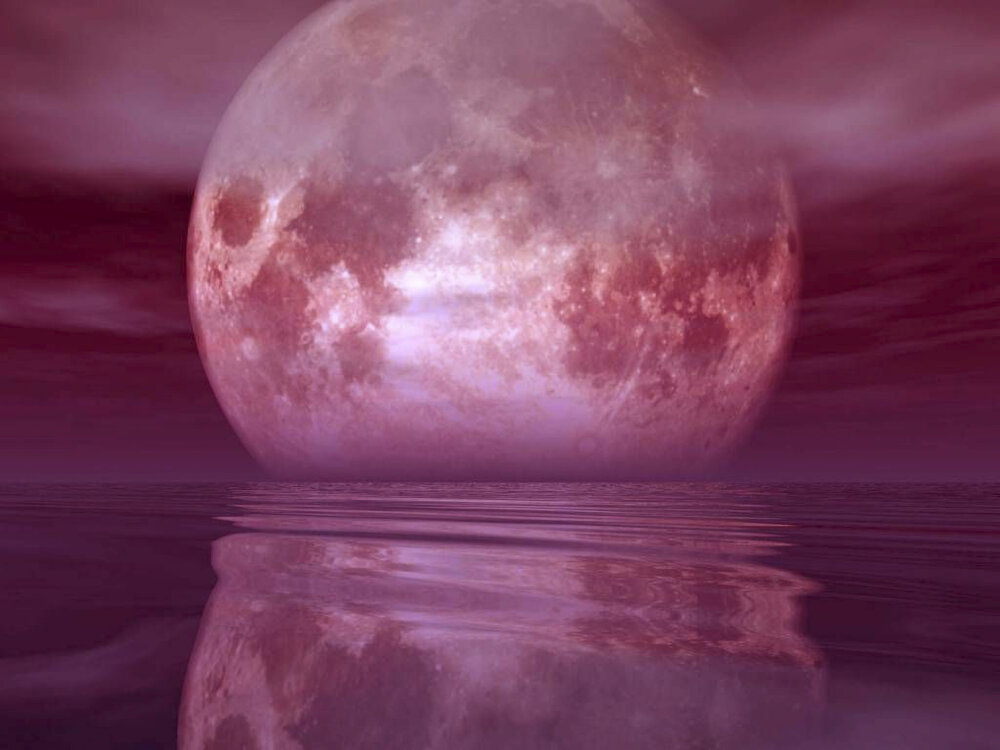 Pink Moon Wallpapers