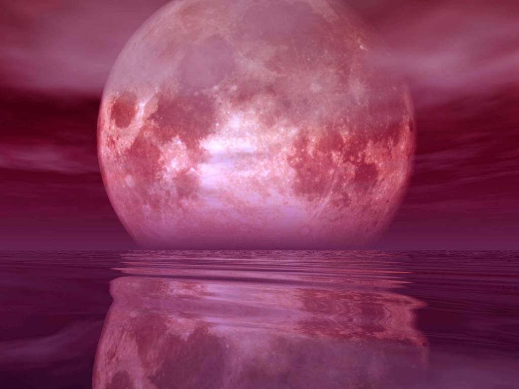 Pink Moon 2018 Wallpapers