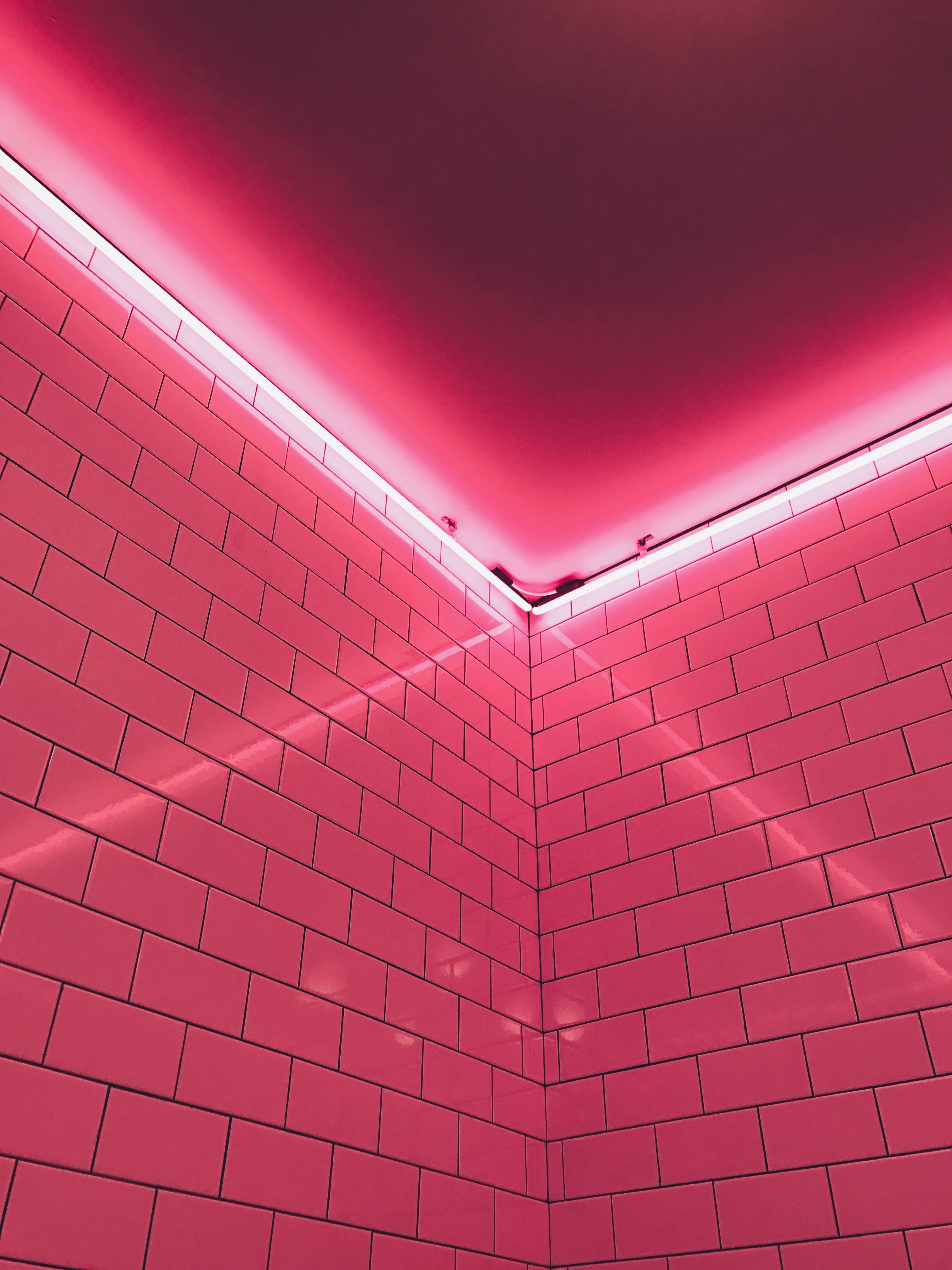 Pink Neon Lights Wallpapers