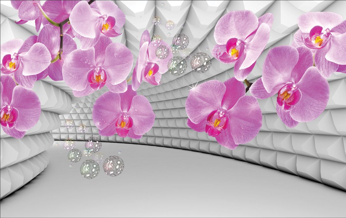 Pink Orchid Wallpapers