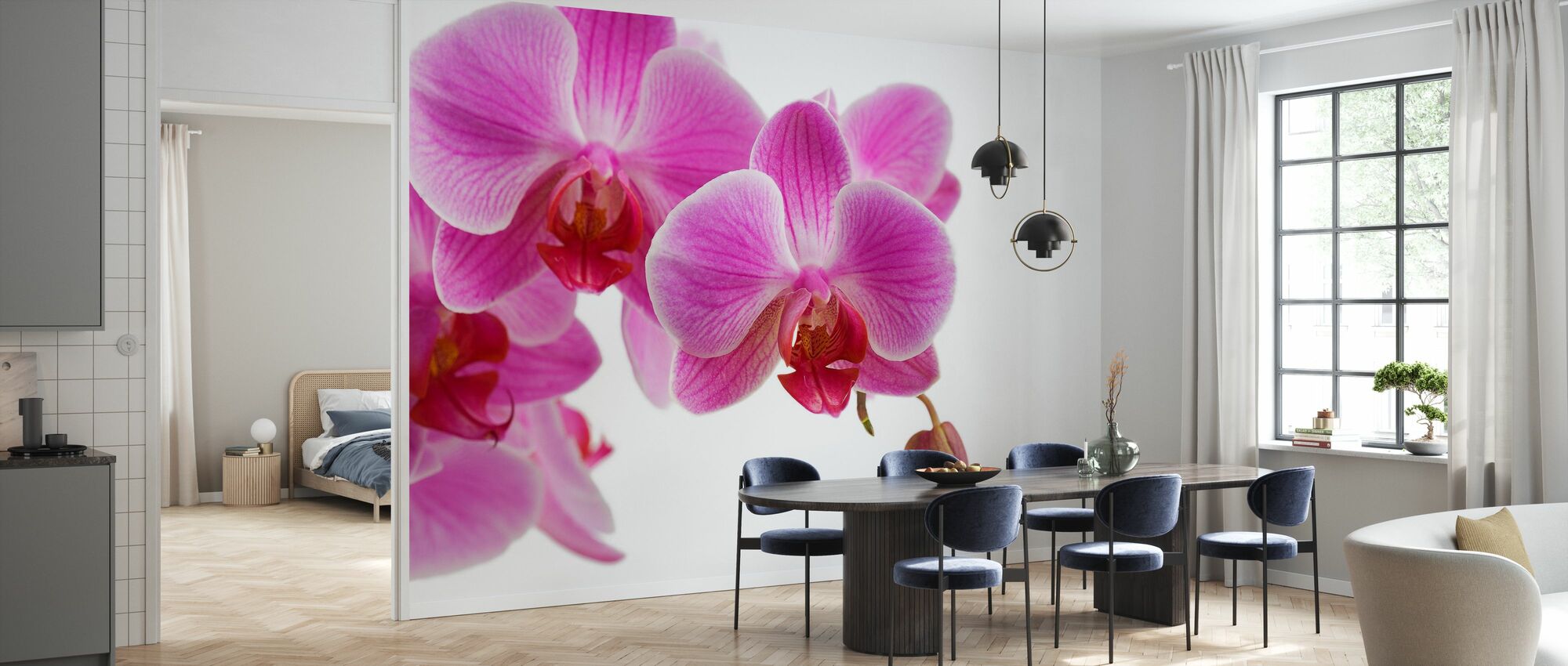 Pink Orchid Wallpapers