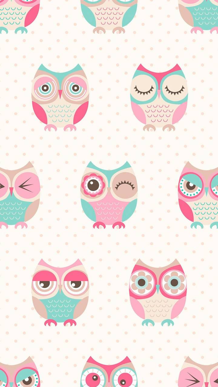 Pink Owl Wallpapers