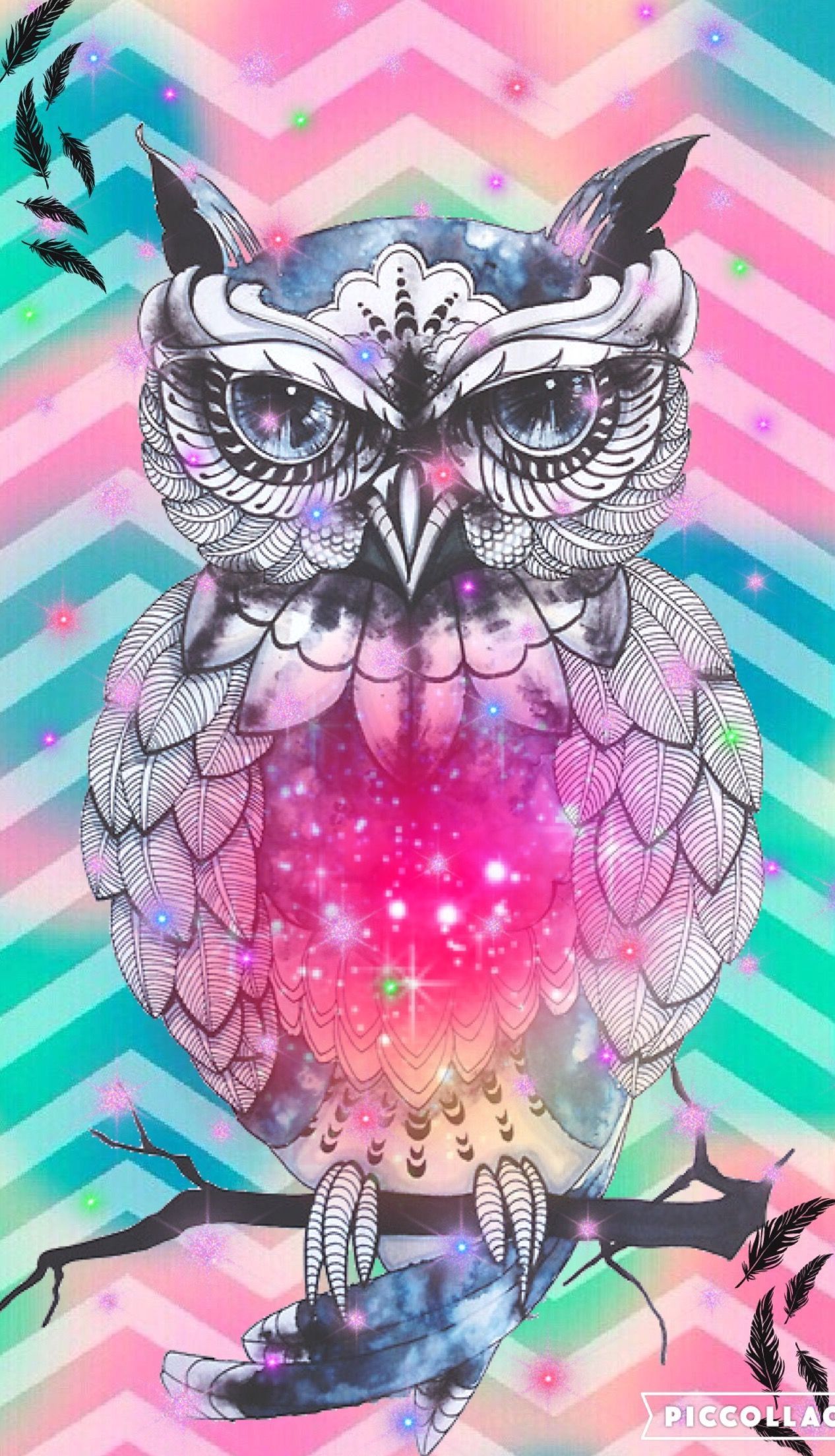 Pink Owl Wallpapers