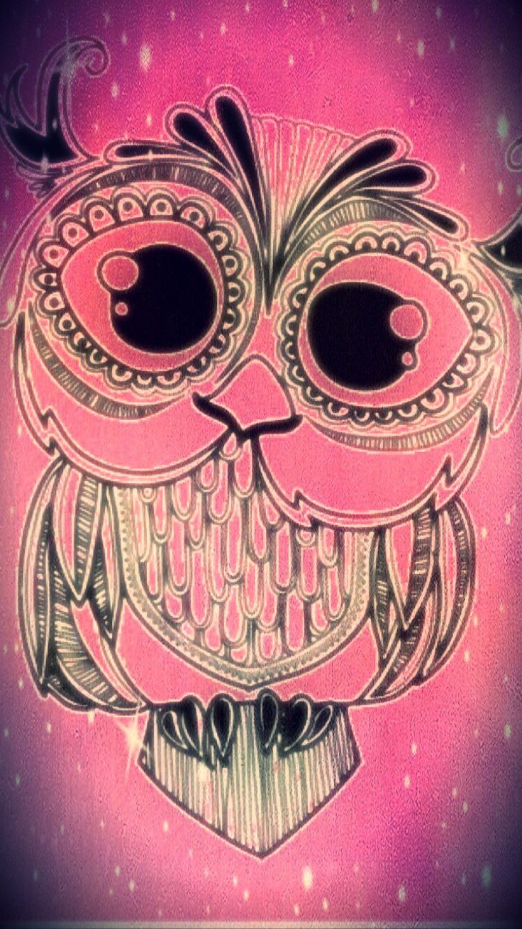 Pink Owl Wallpapers