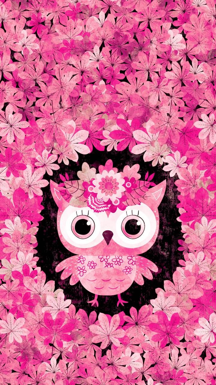 Pink Owl Wallpapers