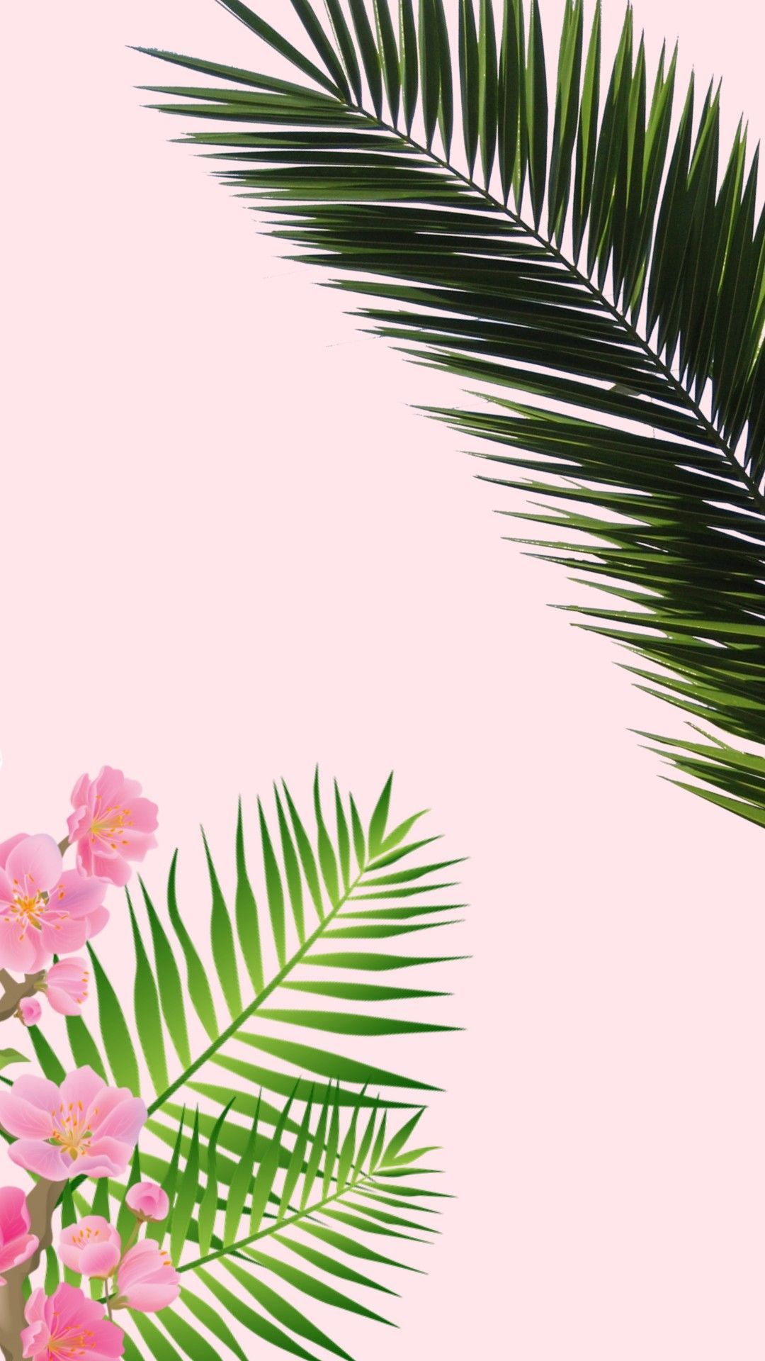 Pink Palm Wallpapers