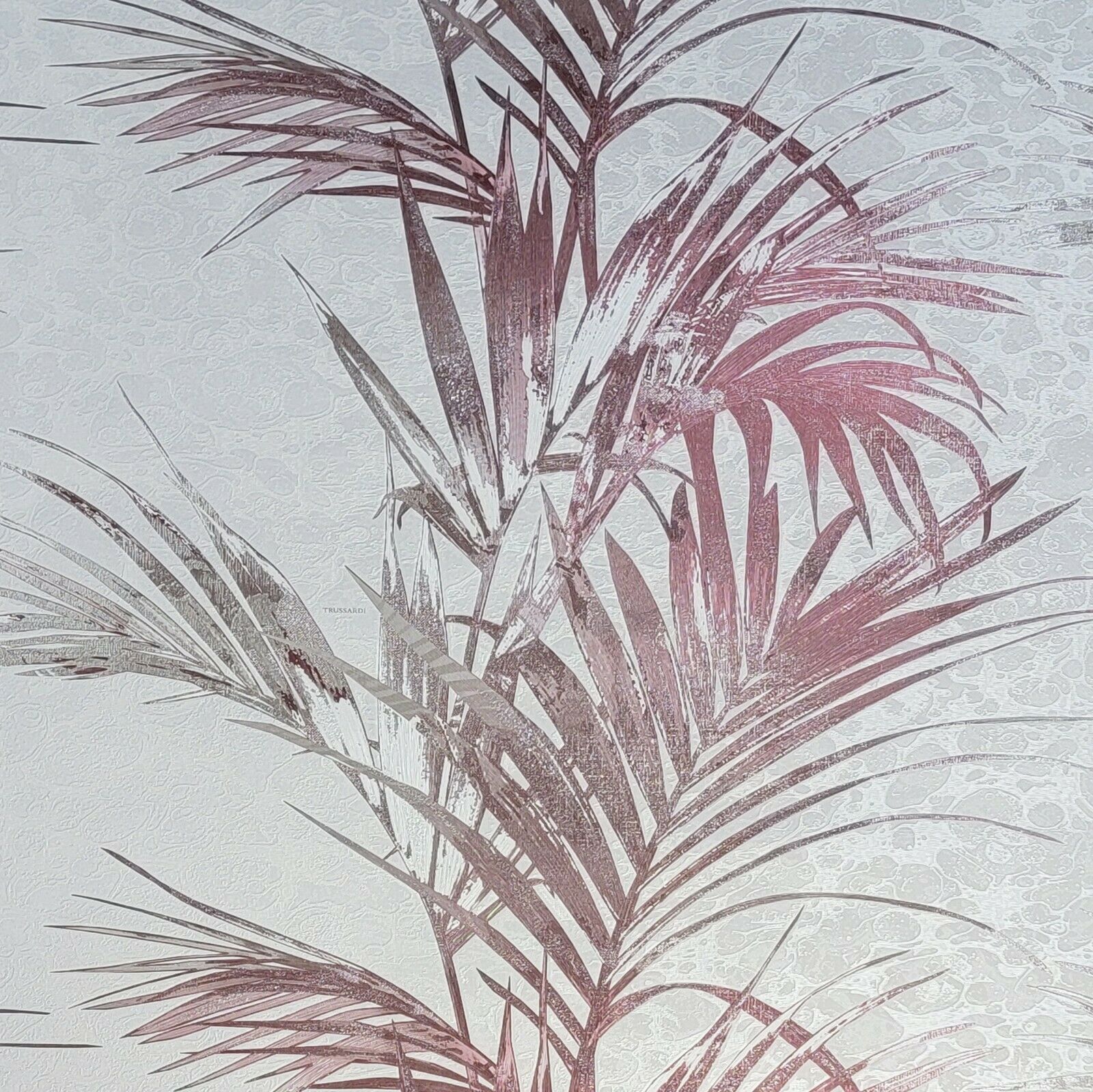 Pink Palm Leaf Wallpapers