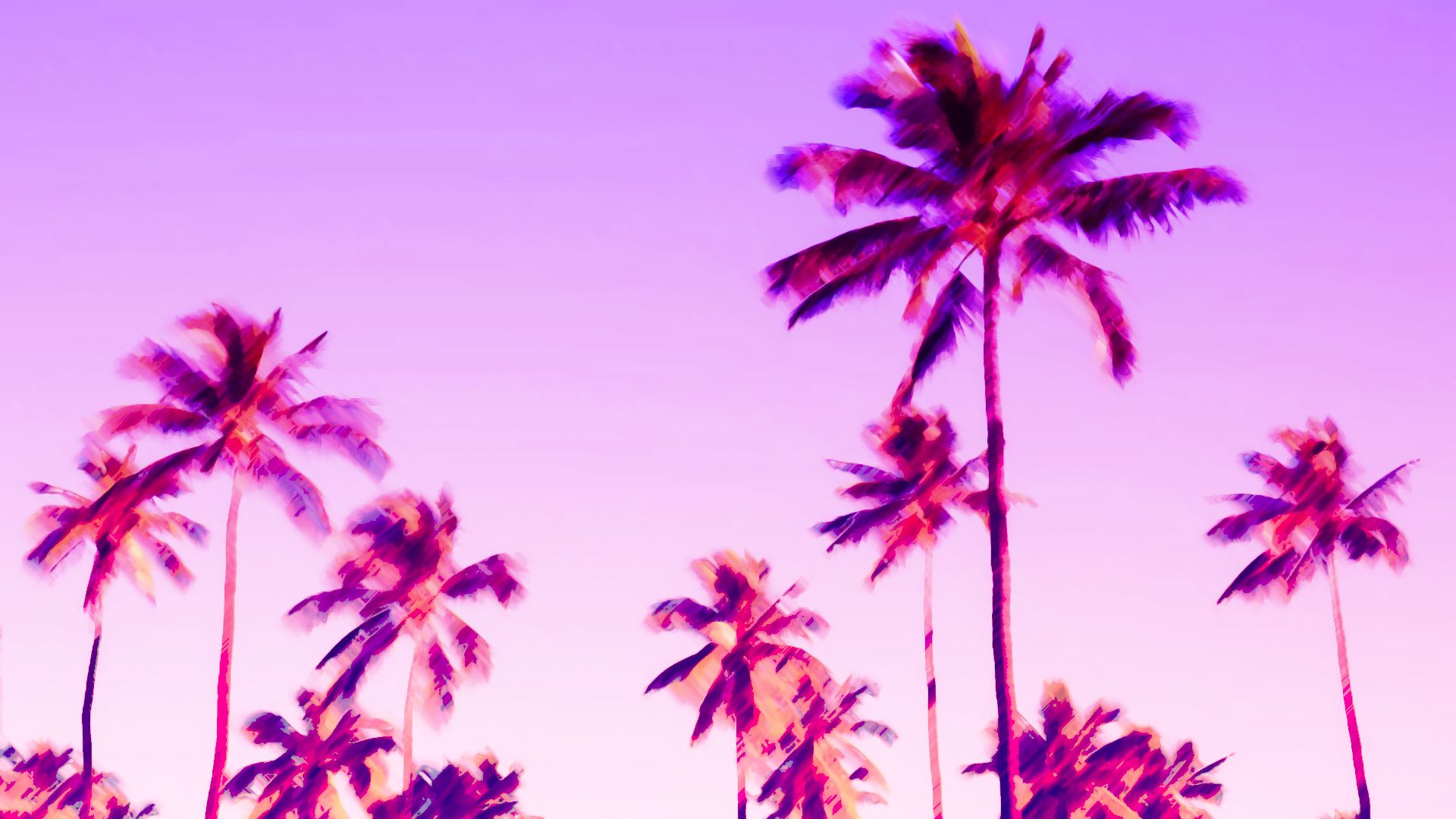 Pink Palm Tree Wallpapers