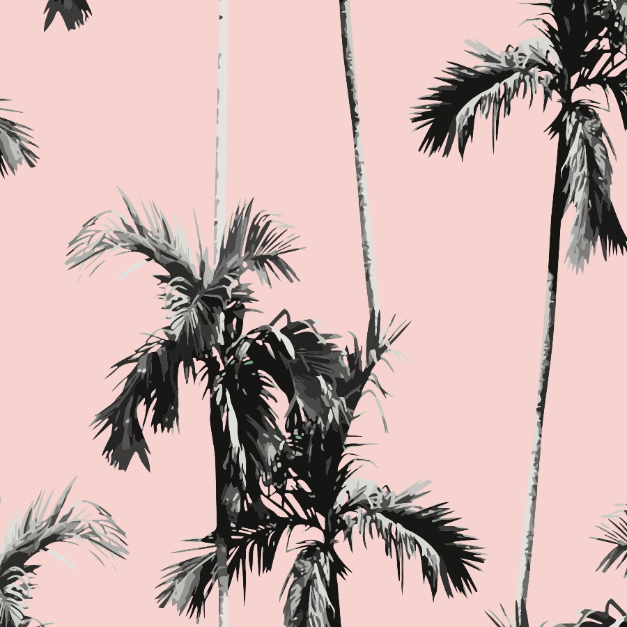 Pink Palm Tree Wallpapers
