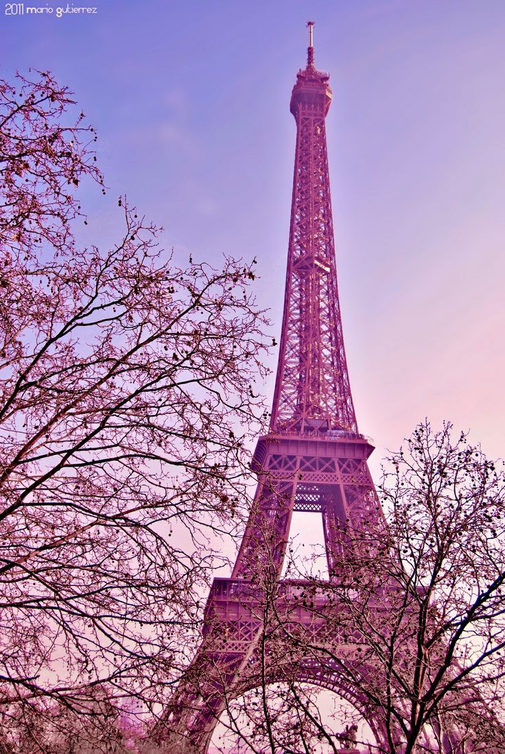 Pink Paris Wallpapers