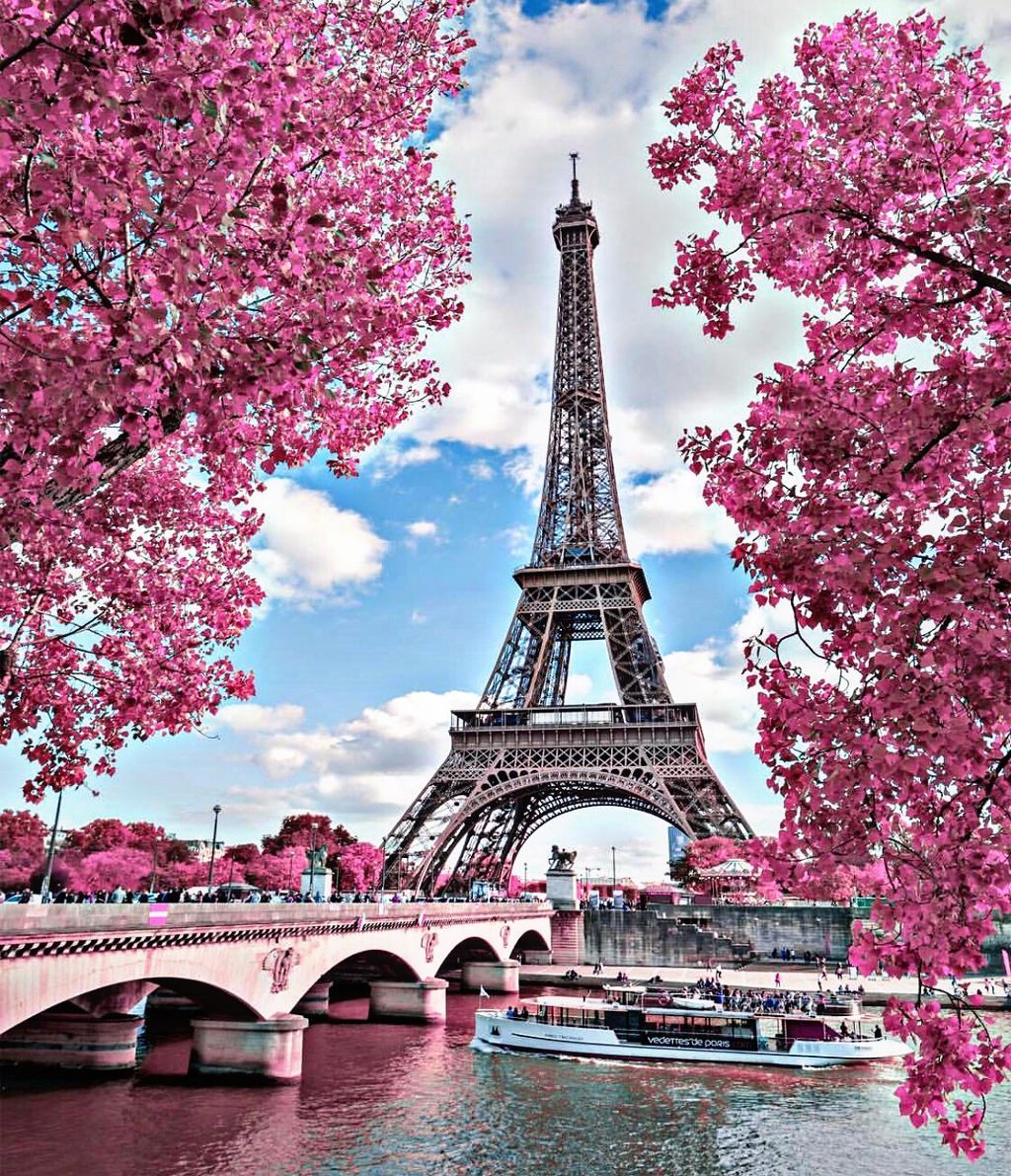 Pink Paris Wallpapers