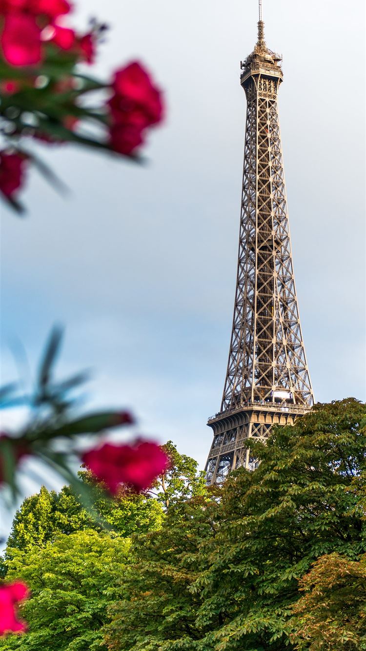 Pink Paris France Wallpapers