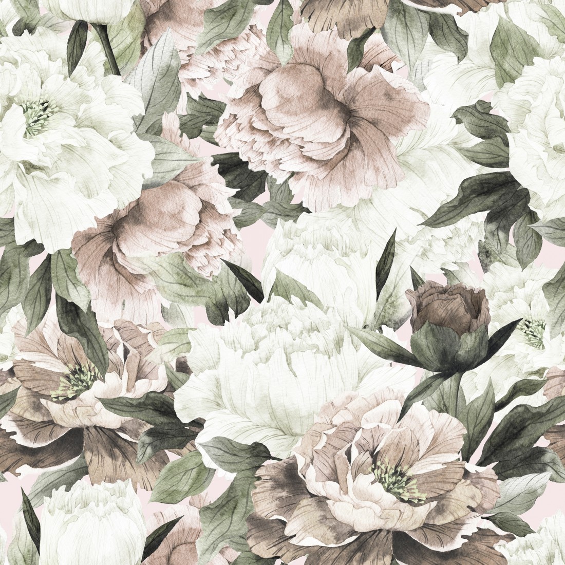 Pink Peonies Flower Wallpapers