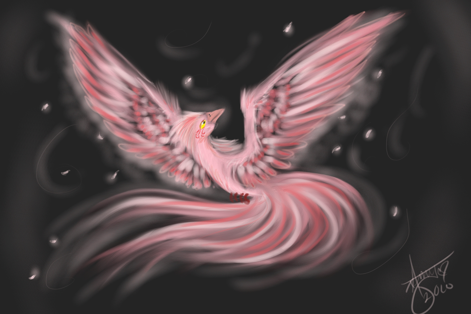 Pink Phoenix Wallpapers