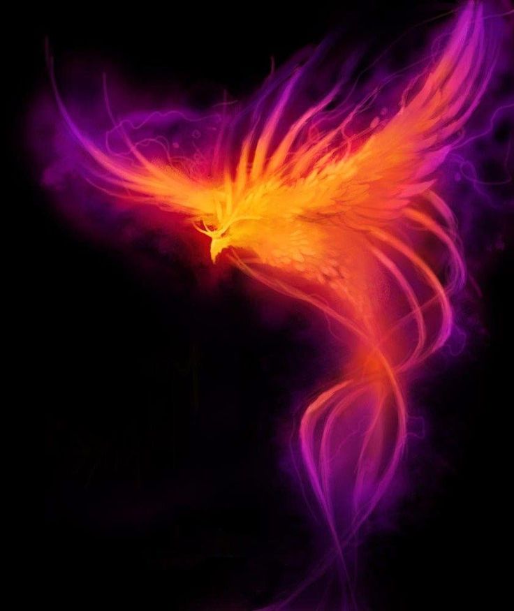 Pink Phoenix Wallpapers