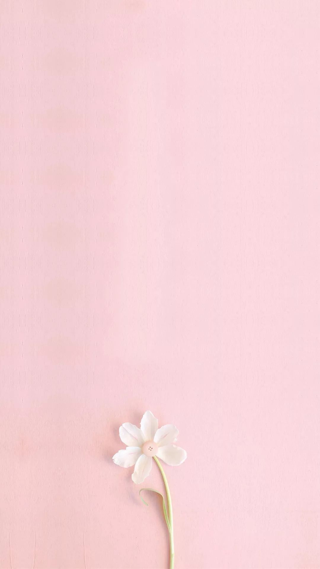 Pink Phone Wallpapers