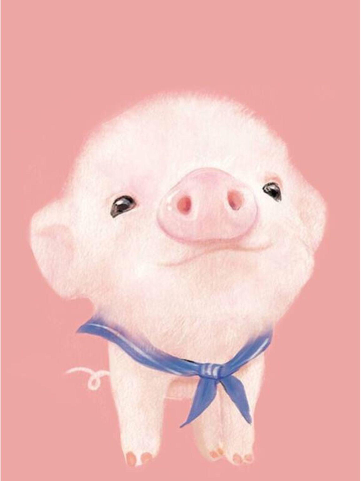 Pink Piggy Wallpapers