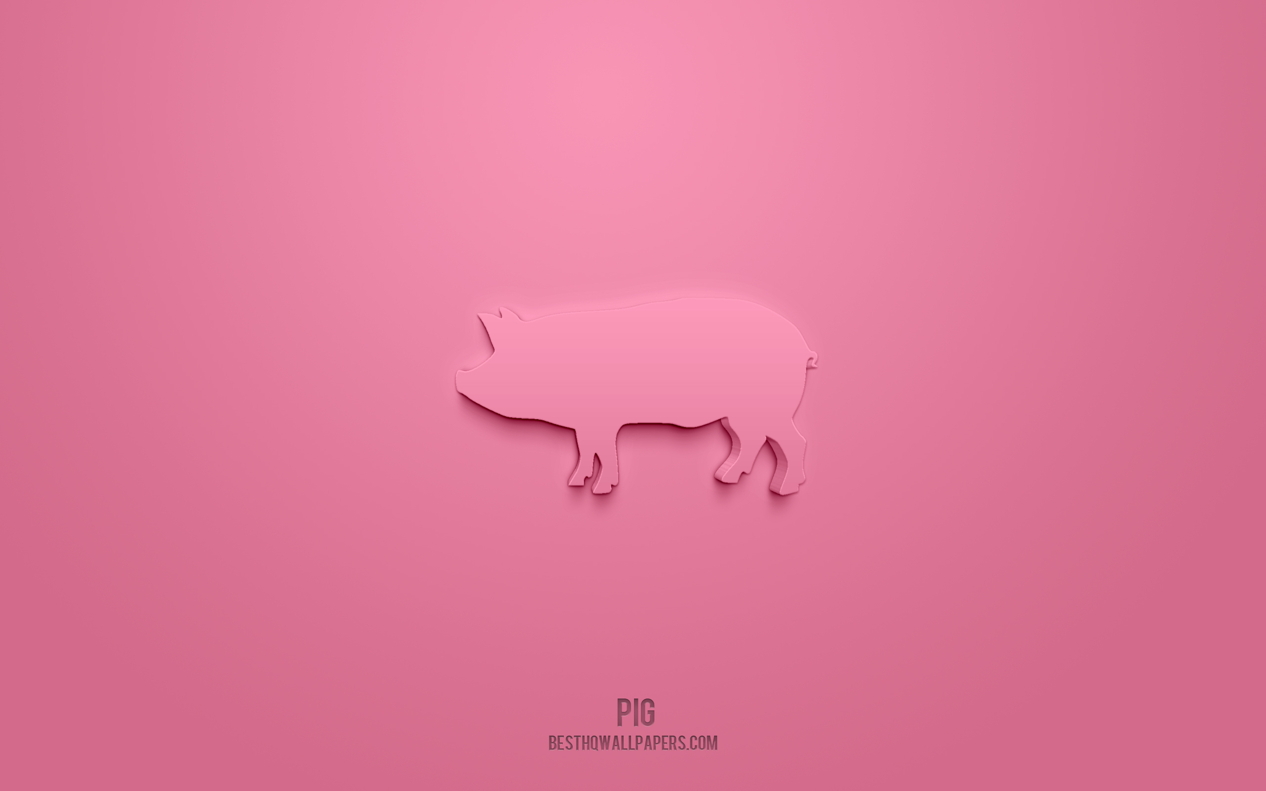 Pink Piggy Wallpapers